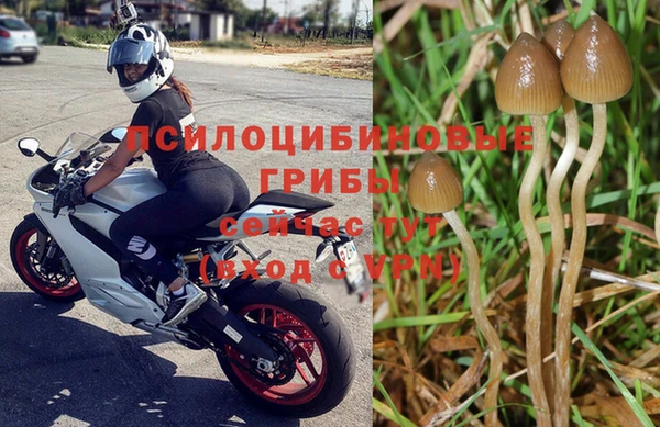 спайс Алзамай