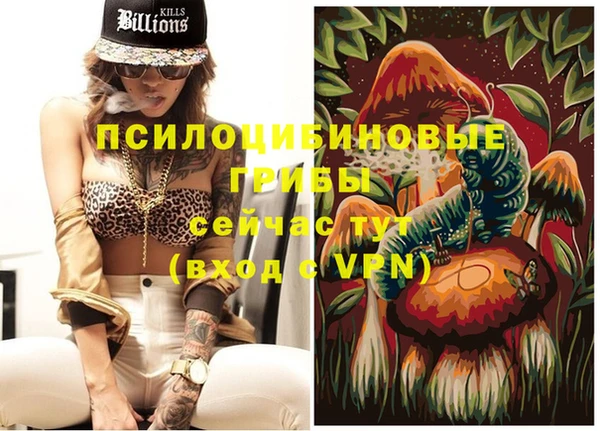 метамфетамин Алексеевка