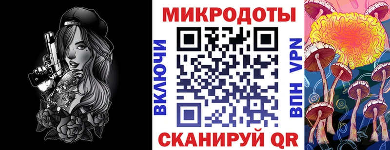 Псилоцибиновые грибы Psilocybine cubensis Тюкалинск
